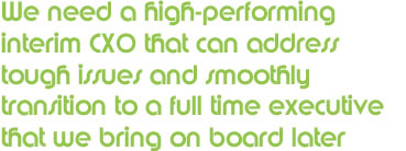 We need a high performing interim CXO that can address tough issues and smoothly transition to a full-time executive